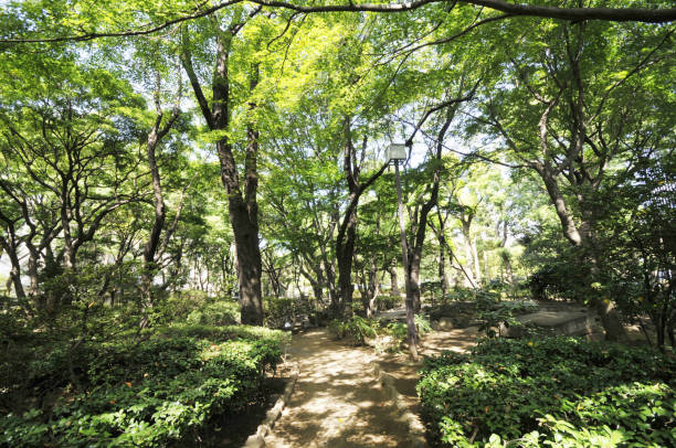 istock Park in the city 2163737153