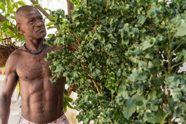 istock African man holding a machete in a garden 2163743292