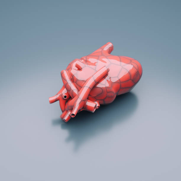 A  CGI depiction of a ceramic heart model, chipped and broken to symbolize damage and deterioration. This representation highlights the fragility and vulnerability of the human body, serving as a metaphor for physical impairment and health decline.