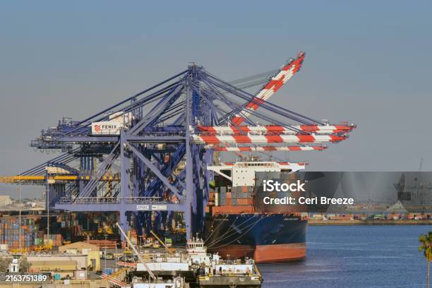 Kuvapankin valokuva otsikolla Cranes Unloading A Large Container Ship In The Port Of Los Angeles – Lataa kuva nyt