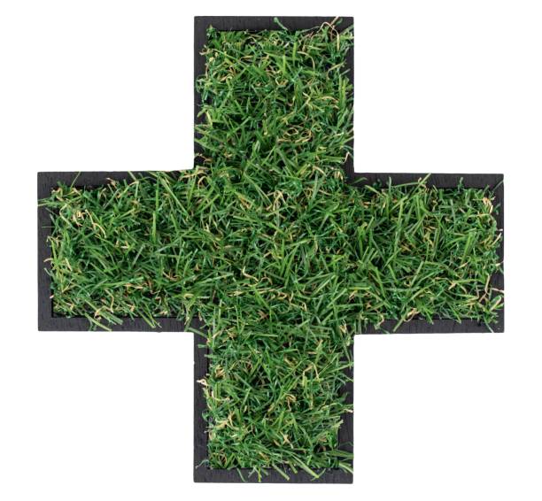 Plus sign made of green grass isolated. Font for your design. Eco concept.