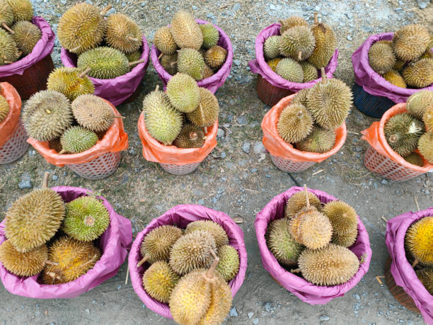 istock King of Fruit 2163756713