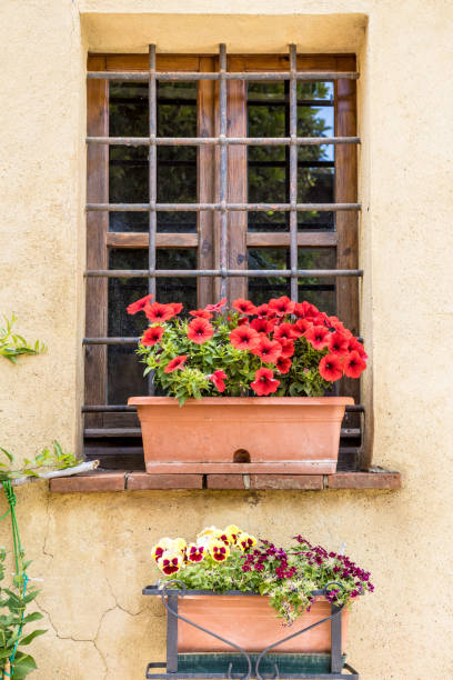 istock Flower boxes under the window in an old house 2163758478