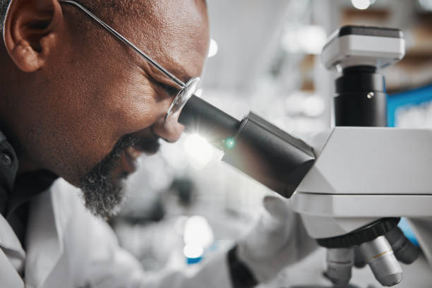 istock Black man, scientist and microscope in laboratory for analysis, innovation and medical research. Development, technology and professional person or expert in clinic for diagnosis, cure or health care 2163767436
