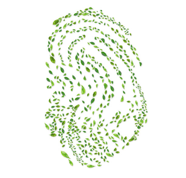 Business man Fingerprint scanning and biometric authentication, cybersecurity and fingerprint password, cyber security on internet. cybernetic business concept.