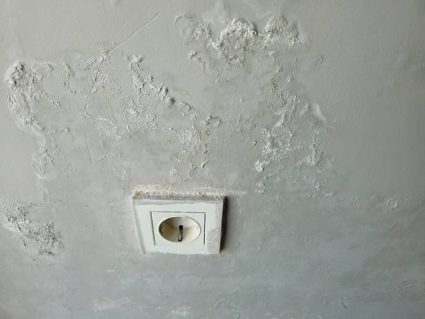 istock Leakage of roof water 2163770184