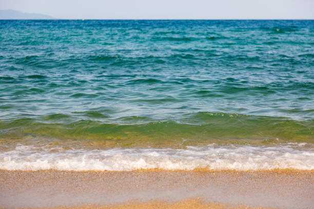 Close-up, front view of waving sea at sunny summer day.