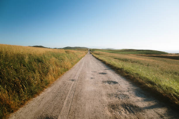 A dirt road in a rural area