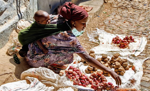 Young woman selling onions and potatoes while carrying her baby the traditional way at the streets of Harar old town (Harar Jugol), Ethiopia Harar, Ethiopia - January 12, 2023 : Young woman selling groceries carrying offspring the traditional way at the streets of Harar old town . Harar (or Harrar or Harer) is a city in Ethiopia, located on a hilltop at 1885 meters. ethiopia city stock pictures, royalty-free photos & images