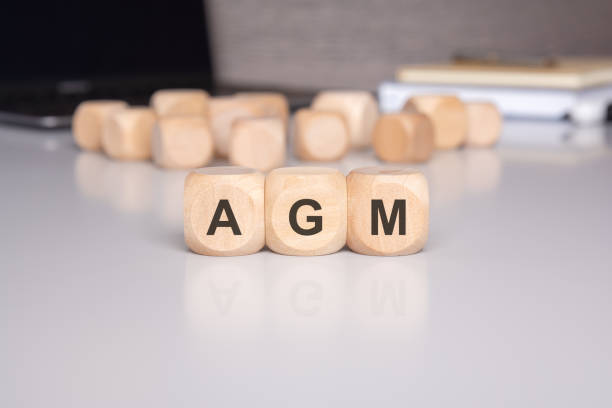 istock during a corporate meeting, AGM blocks can organize the discussion in an office cube 2163786488