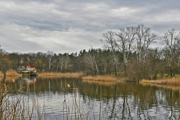 istock Spring landscape of the river 2163788009