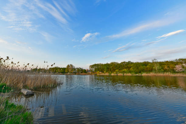 Spring landscape on the bank of the river Samara Ukraine.