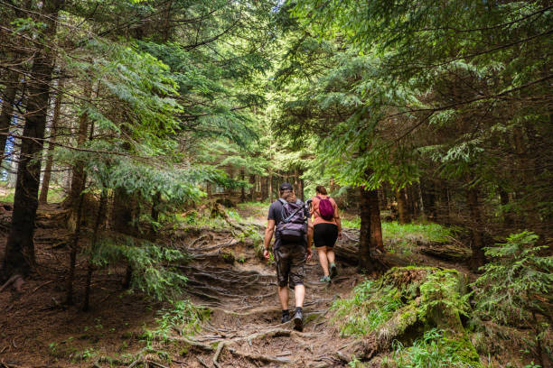 istock Early morning mountain hike 2163788603