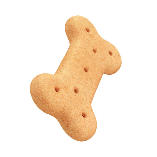 istock 3D Dog Bone-Shaped Biscuit with Isolated White Background 2163790510