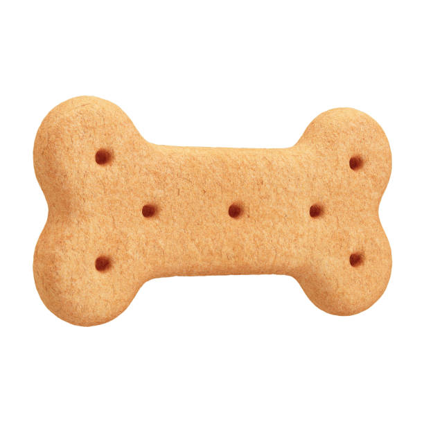 istock 3D Dog Bone-Shaped Biscuit with Isolated White Background 2163790511