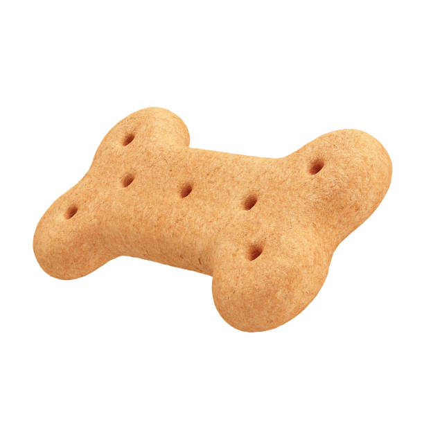 istock 3D Dog Bone-Shaped Biscuit with Isolated White Background 2163790513