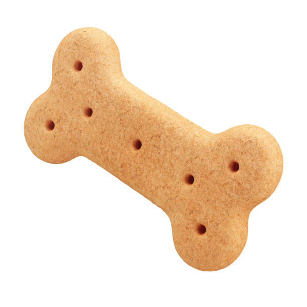 istock 3D Dog Bone-Shaped Biscuit with Isolated White Background 2163790515