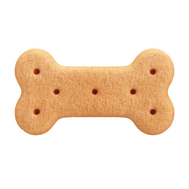 istock 3D Dog Bone-Shaped Biscuit with Isolated White Background 2163790531
