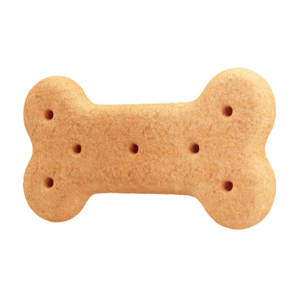 istock 3D Dog Bone-Shaped Biscuit with Isolated White Background 2163790532