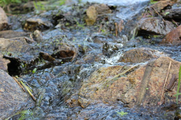 istock small trickle in a magical forest 2163792868