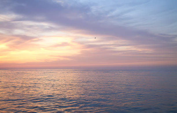 istock sunset with beautiful clouds, purple and pink sky 2163795725