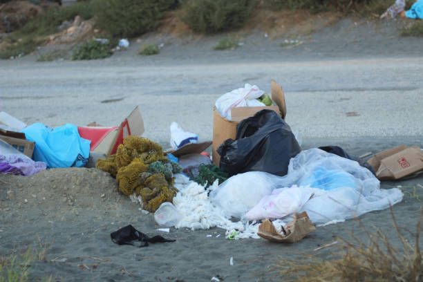 istock Garbage thrown on the side of the road. 2163796839