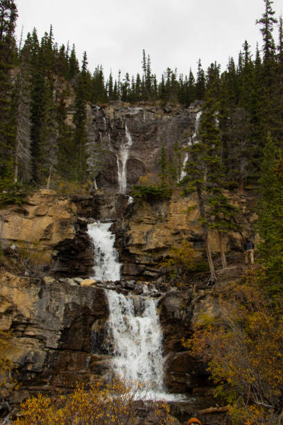 istock Tangle Creek Falls in Jasper National Park, Canada 2163798050