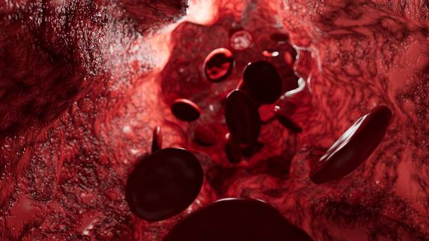istock Blood Cells in Blood Vessel 2163799048