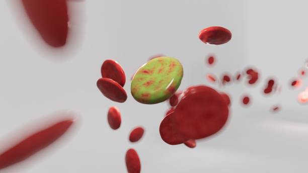 istock Infected Blood Cell with Healthy Blood Cells 2163799065