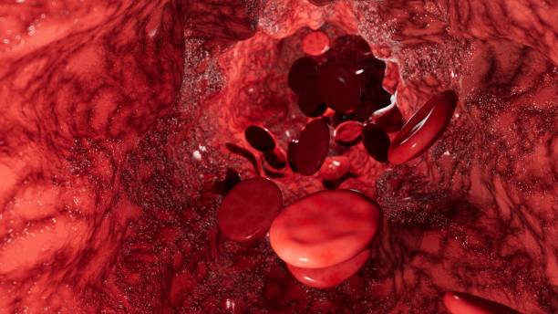 istock Blood Cells in Blood Vessel 2163799095