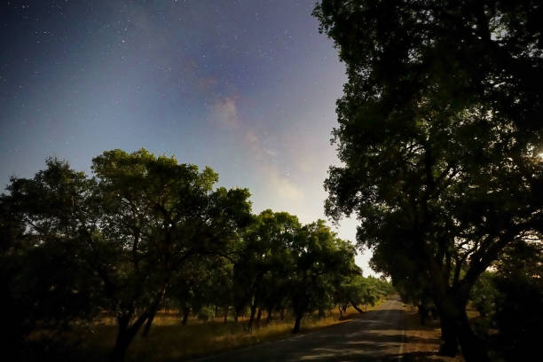 istock Night road, Sardoal, Abrantes, Portugal 2163801612
