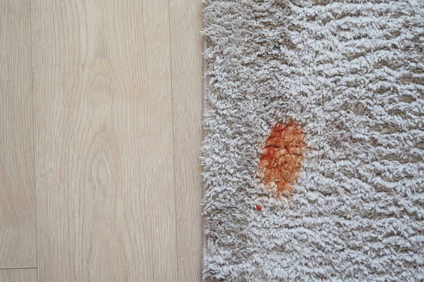 istock Tomato stain on a carpet indoors, 2163802967