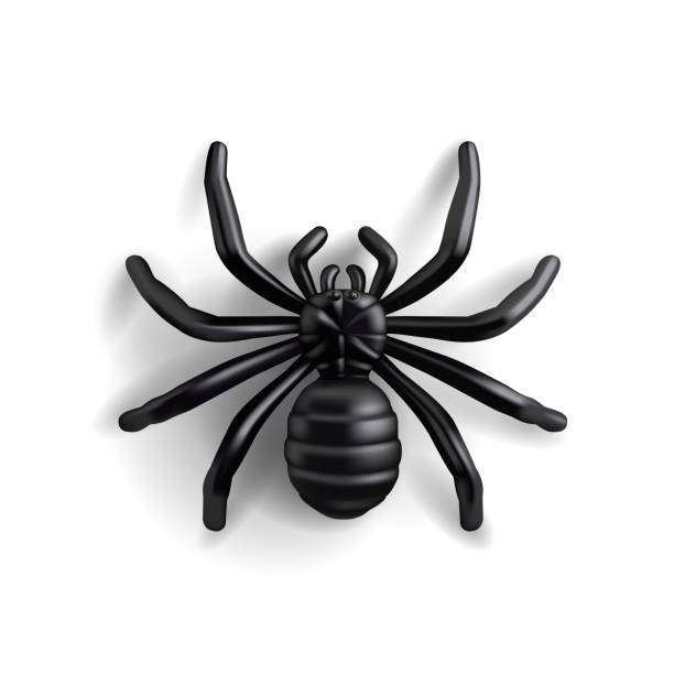 istock Black realistic spider, 3D. Modern image of scary spider for advertising concepts, celebrations, icon. Vector 2163803579