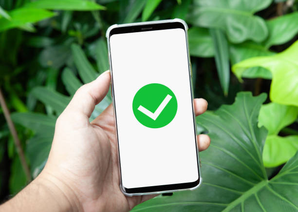 istock green checkmark notification in a mobile phone screen on plants background 2163805969