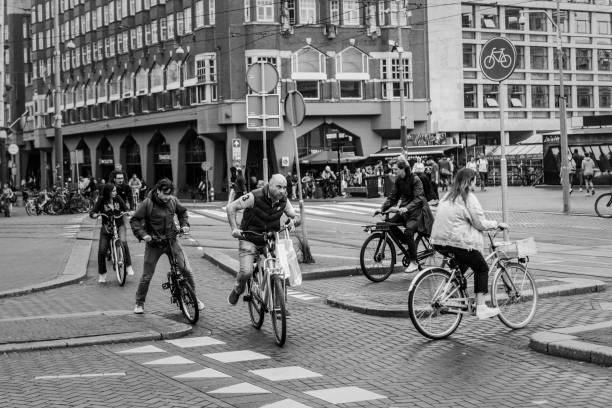 Amsterdam, Netherlands - July 25, 2024: Cyclists navigate the bicycle-friendly street of Amsterdam in The Muntplein, a square in the city center.