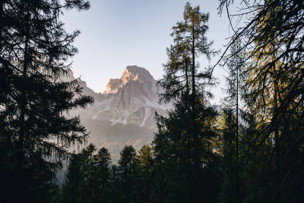 istock Sunrise through forest and mountains 2163818734