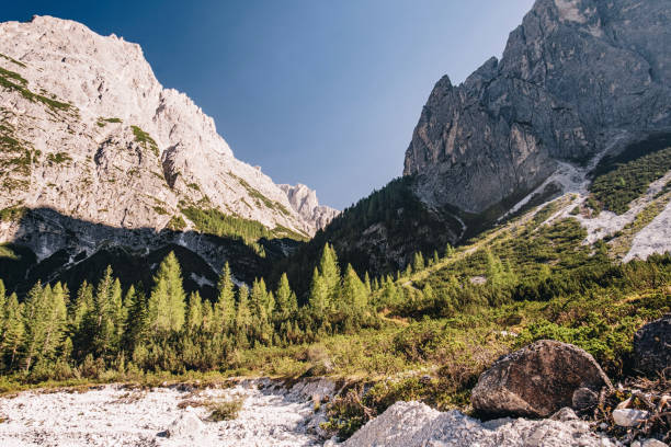 Sunrise over mountain peaks and forest, Fischleintal Sexten,  Trentino-Südtirol