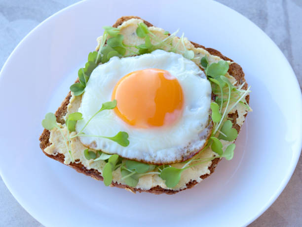 Seed brown bread slice with hummus, micro green and fried egg.