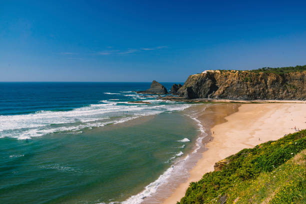 istock Aerial view of sandy beach and ocean 2163820144