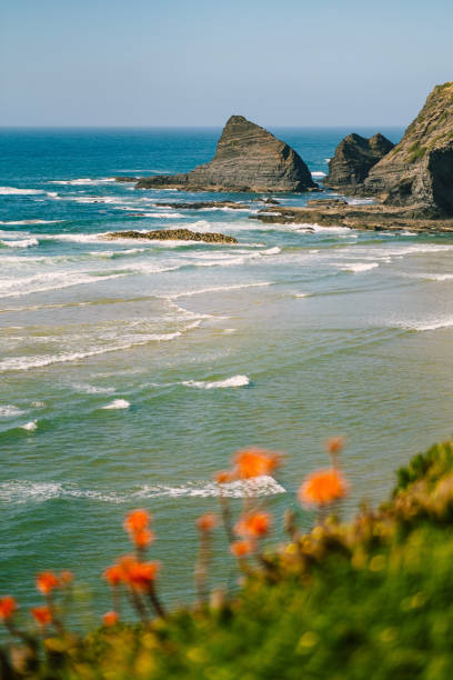 istock Aerial view of blossoms and waves 2163820149