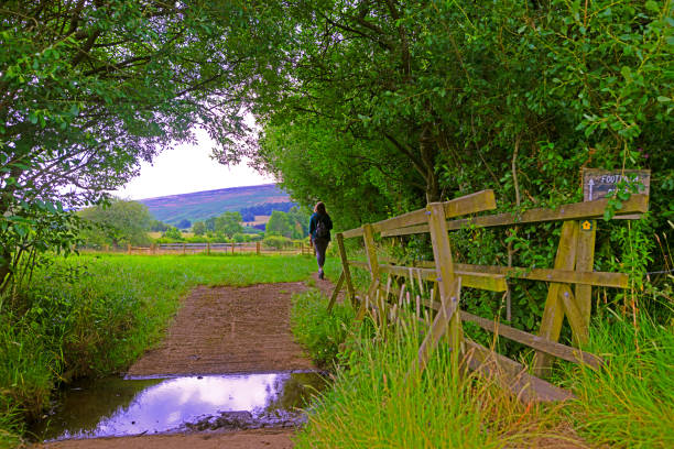 Capturing a hiker having crossed a footbridge into lush green meadows, approaching Mam Tor, in the Hope Valley, Derbyshire, England.