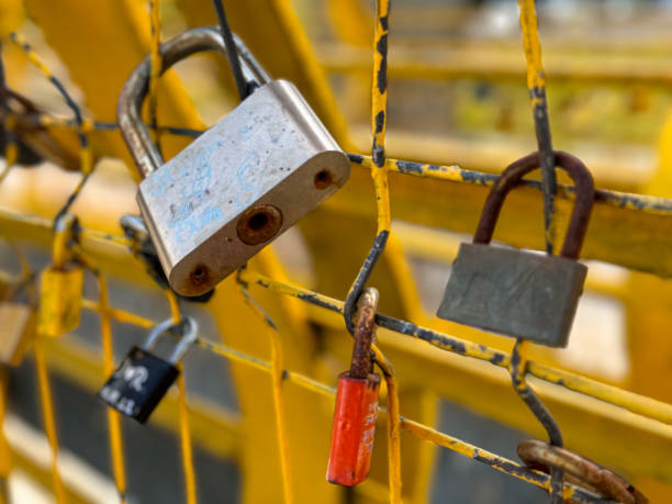 istock Multiple Padlocks on Metal Fence 2163833748