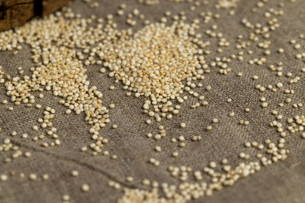 istock not cooked healthy quinoa porridge grains 2163838432