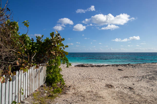 istock Turquoise blue water at a tropical beach 2163839389