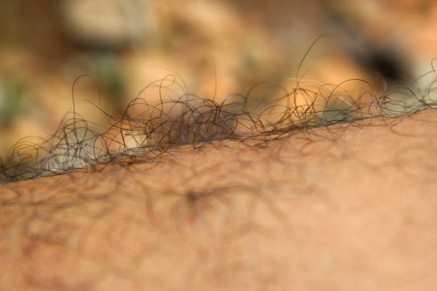 Close-up of feathers on a man's leg