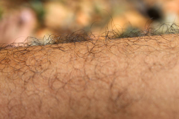 istock Close-up of feathers on a man's leg 2163839517