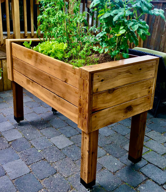 istock Wooden Raised Garden Bed with Vegetables 2163840654
