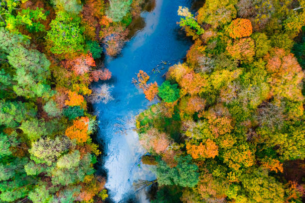 istock Top view of Kayaking on river by autumn forest 2163841149