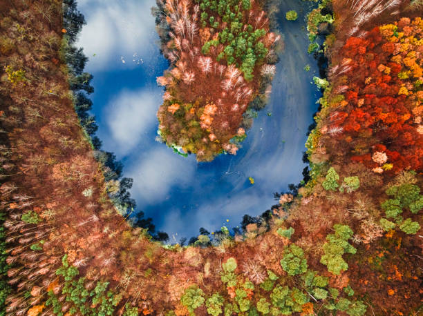 istock Brown and red forest by river in autumn in Poland. 2163841249