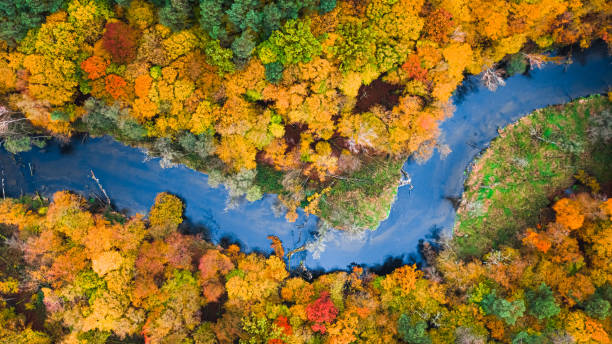 istock Top down view of river and colorful forest at autumn 2163841397